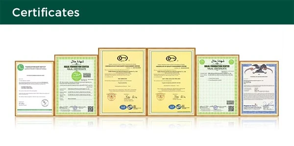 product-600-298 product-600-298